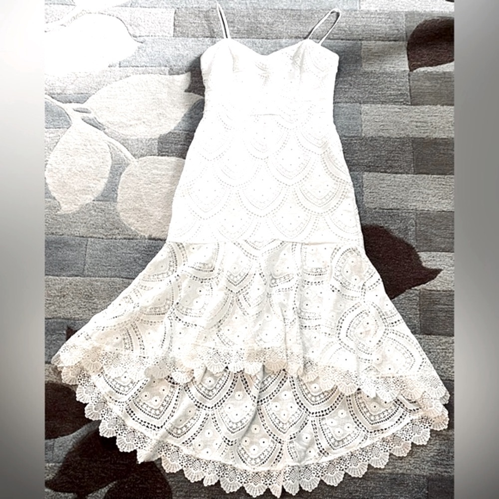 Anthropologie I Champagne & Strawberries Bright White Eyelet High Low Midi Dress